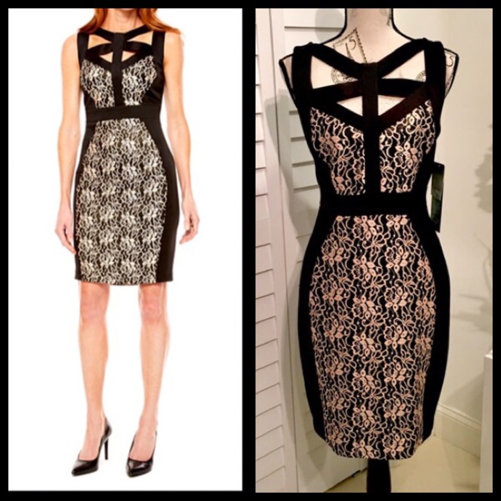 ✨NWT✨Elegant Sleeveless Floral Lace Sheath Dress